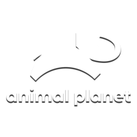 Логотип Animal Planet HD