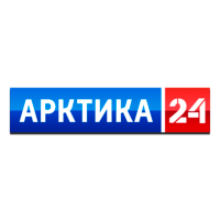 Логотип Арктика 24