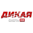Логотип Дикая охота HD